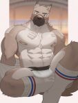  3:4 abs bandage boxers_(clothing) canid canine canis clothing embarrassed footwear hachi_duchi hair hi_res looking_at_viewer male mammal muscular nipples pecs pubes socks solo underwear 