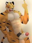  2021 3:4 abs absurd_res anthro balls beastars bill_(beastars) bodily_fluids clothed clothing cum erection felid fur genital_fluids genitals gesture grey_background hi_res jayjay_(artist) looking_at_viewer male mammal middle_finger muscular muscular_anthro muscular_male navel nipples nude pantherine partially_clothed pecs penis pubes simple_background solo teeth tiger tongue tongue_out tuft 