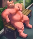  2021 absurd_res anthro balls belly bench domestic_pig flaccid genitals hi_res humanoid_genitalia humanoid_hands humanoid_penis male mammal moobs nipples outside overweight overweight_male penis sitting solo suid suina sus_(pig) x-zudomon 