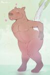  absurd_res anthro blush brown_body brown_fur brownieclop capybara casual_nudity caviid digital_media_(artwork) english_text fur genitals hi_res looking_pleasured male mammal nipples nude penis rodent sauna simple_background smile solo steam text water 
