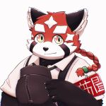  1:1 2021 ailurid anthro biped black_nose clothed clothing cute_fangs fur hi_res kemono lifewonders male mammal popolipo00 portrait red_body red_fur red_panda shirt simple_background solo suspenders tokyo_afterschool_summoners topwear video_games white_background white_body white_fur zhurong_(tas) 