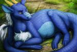  blue_body blue_scales chest_tuft claws detailed_background dragon feral flaps_(character) fur grass hi_res horn lemondeer lying male neck_tuft outside paws plant quadruped scales solo tail_tuft tuft white_body white_fur wingless_dragon yellow_eyes 