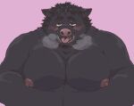  2021 anthro belly black_body black_fur blush domestic_pig exe_exem fur kemono male mammal moobs nipples overweight overweight_male pink_background simple_background solo suid suina sus_(pig) tongue tongue_out 