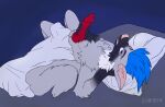  animated anthro bedding blanket blue_eyes blue_hair breath canid canine emfnsfw fox hair hi_res jye knot looking_at_viewer lying male mammal masturbation neck_tuft panting short_playtime solo tuft 
