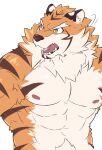  abs anthro eyebrows felid fur hi_res lifewonders live-a-hero male mammal muscular muscular_anthro muscular_male nipples pantherine pecs ryekie_(live-a-hero) sdeekkk solo striped_body striped_fur stripes thick_eyebrows tiger video_games 