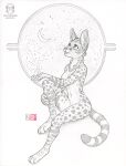  2021 anthro breasts crescent_moon featureless_breasts felid feline female fur kacey mammal moon nude open_mouth serval sitting sky solo star starry_sky text whiskers 