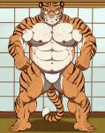 2021 abs anthro asian_clothing barazoku belly big_belly big_muscles bulge clothing east_asian_clothing felid front_view fundoshi fur hi_res huge_muscles inside japanese_clothing looking_at_viewer male mammal mature_male musclegut muscular muscular_anthro muscular_male navel niku_18 nipples overweight overweight_anthro overweight_male pantherine pecs quads solo standing thick_thighs tiger tuft underwear 