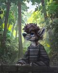  2021 4:5 anthro baggy_clothing baggy_topwear black_nose blue_(amesred) blue_eyes blue_sky brown_body brown_fur brown_inner_ear canid canine canis cheek_tuft chest_tuft clothed clothing cloud day detailed_background digital_media_(artwork) domestic_dog facial_tuft forest fully_clothed fur grey_clothing grey_sweater grey_topwear grin head_tuft hi_res inner_ear_fluff jacato leaf looking_up male mammal multicolored_body multicolored_fur outside pattern_clothing pattern_sweater pattern_topwear plant prick_ears shikoku_ken signature sky smile solo spitz striped_clothing striped_sweater striped_topwear stripes sweater teeth teeth_showing topwear tree tuft wall_(structure) whisker_spots white_body white_fur white_inner_ear_fluff 