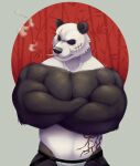  2021 anthro beastars biceps black_body black_fur cigarette cigarette_in_mouth clothing crossed_arms eye_scar facial_scar fur giant_panda gouhin half-length_portrait jockstrap jockstrap_only male mammal multicolored_body multicolored_fur muscular muscular_anthro muscular_male netflix pecs portrait pose pubes scar smoking solo standing thediyemi triceps two_tone_body two_tone_fur underwear ursid white_body white_fur 