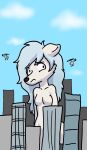  aircraft anthro black_nose blue_hair breasts canid canine canis caroline_west featureless_breasts female fur hair helicopter hi_res macro mammal solo terdburgler trans_(lore) trans_woman_(lore) white_body white_fur wolf 