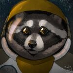  1:1 fluffy giant_panda hi_res mammal procyonid raccoon space trash ursid zady 
