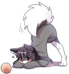  2021 3_toes anthro ass_up ball black_hair blep blue_eyes blush canid canine canis clothing domestic_dog feet female fur grey_body grey_clothing grey_fur grey_shirt grey_topwear hair hi_res jack-o&#039;_pose kemono long_hair long_sleeves mammal multicolored_body multicolored_fur nachiwanko orange_ball pose raised_tail shirt simple_background snout solo toes tongue tongue_out topwear two_tone_body two_tone_fur white_background white_body white_fur 