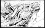  2013 avian bird chaos-draco dragon duo feral monochrome spines traditional_media_(artwork) 