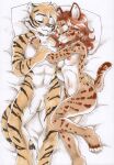  anna_(fallenaltair) anthro balls breasts daigaijin duo eyes_closed felid feline female flaccid foreskin fur genitals hi_res long_foreskin lying male male/female mammal navel nipples on_back pantherine penis pillow serval sleeping spots spotted_body spotted_fur striped_body striped_fur stripes ti_(fallenaltair) tiger 