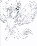  absurd_res avian beak bird_feet feathered_wings feathers female feral flying fur gryphon heather_bruton hi_res mythological_avian mythology paws serilde solo spread_wings talons wings 