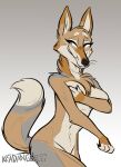  2021 anthro breasts brown_body brown_fur canid canine canis cheek_tuft chest_tuft covering covering_breasts coyote digital_media_(artwork) dipstick_ears dipstick_tail facial_tuft female fingerless_(marking) fur gloves_(marking) grey_background grey_body grey_fur hi_res inner_ear_fluff keadonger mammal markings multicolored_body multicolored_ears multicolored_fur neck_tuft portrait simple_background smile solo tail_markings tan_body tan_fur three-quarter_portrait tuft yellow_eyes 