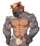  2021 abs anthro balls biped clothed clothing clothing_pull fangs fur genitals grey_body grey_fur hair humanoid_genitalia humanoid_penis hyaenid jockstrap male mammal muscular muscular_anthro muscular_male nipples orange_eyes orange_hair pecs penis pubes simple_background solo spots spotted_body spotted_fur topless translucent translucent_clothing translucent_underwear underwear underwear_pull voviat white_background 