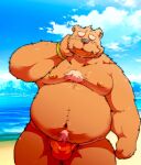  2021 anthro balls_outline beach belly brown_nose bulge clothing cloud detailed_background eyes_closed genital_outline hi_res humanoid_hands kemono male mammal moobs navel nipples outside overweight overweight_male seaside solo suishou0602 swimwear ursid water 