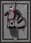  anthro bagworm_(artist) blush bulge clothed clothing crossdressing dante_(raccoon) fur garter_belt garter_straps girly legwear lingerie male mammal panties partially_clothed paws procyonid raccoon solo thong underwear 
