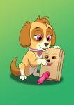  absurd_res box canid canine canis container dildo domestic_dog female feral hi_res mammal paw_patrol sex_toy skye_(paw_patrol) 