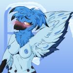  1:1 absurd_res anthro areola avian beak bird black_body black_feathers blue_areola blue_body blue_feathers blue_jay blush breasts celci_(spring) corvid eyebrows eyelashes feathers female freckles hair half-length_portrait hand_behind_head hi_res hirothedragon hybrid ice jay_(bird) looking_at_viewer multicolored_body new_world_jay nintendo non-mammal_breasts non-mammal_nipples nude oscine passerine pok&eacute;mon pok&eacute;mon_(species) portrait smile snow solo talonflame video_games window wings yellow_eyes 
