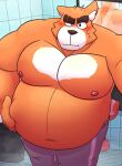  2021 anthro bathroom belly blush bodily_fluids bottomwear canid canine canis clothing detailed_background domestic_dog fur hi_res humanoid_hands leonthelionel male mammal mirror moobs navel nipples orange_body orange_fur overweight overweight_male pants rorik_(the_human_heart) solo sweat the_human_heart_(game) video_games visual_novel white_body white_fur 