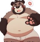  2021 96tning angry anthro belly black_nose blush bodily_fluids brown_body brown_fur bulge canid canine clothing fur kemono male mammal moobs navel overweight overweight_male paws raccoon_dog simple_background solo sweat tanuki underwear white_background 