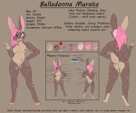  1_eye 6:5 absurd_res anthro belladonna_(prismatic_wolf) butt collar color_swatch digitigrade eye_scar eyebrow_piercing facial_piercing facial_scar female fur genitals hair hare hi_res lagomorph leporid mammal model_sheet nipple_piercing nipples nose_scar piercing pink_hair prismatic_wolf pussy rabbit red_eyes scar scut_tail short_tail smile solo spots spotted_body spotted_fur tongue tongue_out 