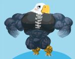  2017 abs accipitrid accipitriform animal_crossing anthro apollo_(animal_crossing) avian bald_eagle beak biceps big_biceps big_muscles big_pecs biped bird bird_feet blue_background blush bottomless clothed clothing digital_media_(artwork) eagle feathers grey_body grey_feathers huge_muscles hyper hyper_muscles looking_aside male multicolored_body multicolored_feathers muscular nintendo nipple_outline nipples pecs plantigrade quads scutes sea_eagle shaded shirt simple_background sleeveless_shirt solo stagor55 standing talons topwear triceps two_tone_body two_tone_feathers video_games white_body white_feathers yellow_beak 