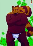  2014 anthro asian_clothing belly blush bulge canid canine clothing east_asian_clothing fundoshi humanoid_hands japanese_clothing kemono male mammal navel overweight overweight_male raccoon_dog solo tanuki underwear white_clothing white_fundoshi white_underwear yukikazefactory 