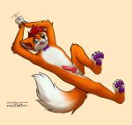  absurd_res anthro balls bdsm bondage bound bow_tie c0nf1rm canid canine claws digital_media_(artwork) erection eyewear fox fur genitals glasses hands_tied hi_res looking_at_viewer male mammal nude pawpads paws penis red_fox simple_background solo tongue 