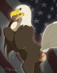  2016 accipitrid accipitriform animal_genitalia avian bald_eagle beak bird black_eyes brown_body brown_feathers brown_wings butt cloaca dated digital_media_(artwork) eagle egg feathered_wings feathers female feral flag_background genitals hi_res holding_egg holding_object looking_at_viewer looking_back looking_back_at_viewer multicolored_body multicolored_feathers nude open_beak open_mouth oviposition pink_tongue rear_view sea_eagle semi-anthro shaded sherwood signature solo stars_and_stripes tail_feathers tongue tongue_out two_tone_body two_tone_feathers united_states_of_america white_body white_feathers white_tail wings yellow_beak yellow_sclera 