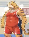  2021 anthro balls_outline blush bodily_fluids bulge clothed clothing erection erection_under_clothing felid fur genital_outline hi_res humanoid_hands kemono male mammal muscular muscular_male nipples pantherine pecs penis_outline shiike999 solo sweat tiger wrestling_singlet yellow_body yellow_fur 