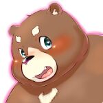  1:1 2014 anthro biped black_nose blush brown_body brown_fur cute_fangs fur kemono mammal overweight portrait simple_background solo totemoii_029 ursid white_background 