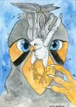  avian beak blue_eyes claws der duo feathered_wings feathers grey_body gryphon male mythological_avian mythology paws ruzzy spellfox spots wings zebra_finch 