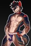  anthro canid canine canis clothing collar hi_res male mammal rb rockmail rood solo underwear variri wolf 