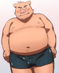  2017 anthro belly blush bulge clothing hi_res humanoid_hands kemono kick_(artist) male mammal musclegut navel nipples obese obese_male overweight overweight_male simple_background solo suid suina sus_(pig) underwear wild_boar 