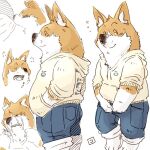  1:1 anthro black_nose bodily_fluids bottomwear brown_body brown_fur canid canine canis clothing crying domestic_dog eyes_closed fur herding_dog hoodie humanoid_hands kemono male mammal multiple_poses pants pastoral_dog pose simple_background slightly_chubby solo tears topwear totemoii_029 welsh_corgi white_background white_body white_fur 