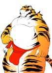  2018 absurd_res anthro asian_clothing belly blush bulge clothing east_asian_clothing felid fundoshi fur hi_res higemorigen humanoid_hands japanese_clothing kemono male mammal moobs navel nipples overweight overweight_male pantherine red_clothing red_fundoshi red_underwear simple_background solo tiger underwear white_background white_body white_fur yellow_body yellow_fur 