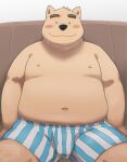  2016 anthro belly black_nose blue_clothing blue_underwear blush boxers_(clothing) brown_body bulge canid canine canis clothing domestic_dog hi_res kemono kick_(artist) looking_at_viewer male mammal navel overweight overweight_male pattern_clothing pattern_underwear sitting smile solo striped_clothing striped_underwear stripes underwear 