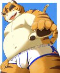  2021 5:6 5groo5 anthro belly bulge clothing felid hi_res humanoid_hands kemono male mammal moobs nipples overweight overweight_male pantherine pink_nose simple_background solo tiger underwear 