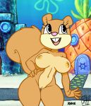  anthro biped breasts detailed_background female food fruit genitals mammal nickelodeon outside pineapple plant pussy rodent sandy_cheeks sciurid snailbail22 solo spongebob_squarepants tree_squirrel wide_hips xylas 