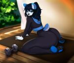  2021 absurd_res all_fours anthro big_butt black_hair black_pawpads blue_body blue_fur bottomwear brown_eyes butt clothing dumbbell feet female fur giant_panda hair hi_res kneeling looking_at_viewer looking_back mammal midriff muffin_(wuvmuffinz) pants pawpads rear_view solo sugoi-chan thick_thighs ursid weights wide_hips workout_clothing yoga yoga_mat yoga_pants 