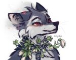  ambiguous_gender black_nose canid canine chain cheek_tuft digital_media_(artwork) facial_tuft flower fur grey_body grey_fur head_tuft hi_res hyilpi light lighting mammal plant red_eyes shaded simple_background solo tuft whiskers white_background 