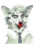  2015 blood bodily_fluids canid canine clothed clothing digital_media_(artwork) facial_piercing fur hair jjeniac lip_piercing mammal piercing simple_background white_background 