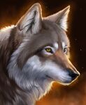  2021 amber_eyes ambiguous_gender black_nose brown_body brown_fur canid canine canis digital_media_(artwork) feral fur hi_res mammal muns11 solo white_body white_fur wolf 