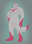  5_fingers 5_toes abs alternate_species anthro balls biceps canid canine circumcised drift_(fortnite) epic_games feet fingers flaccid fortnite fox fur furrification genitals grey_body grey_eyes grey_fur grey_hair hair hand_on_hip hi_res male mammal markings muscular muscular_anthro muscular_male muscular_thighs navel neotorakuma nipples pecs penis pink_body pink_fur pink_inner_ear pink_markings pink_sclera quads simple_background smile solo standing thick_thighs toes video_games 