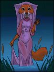  anthro breasts canid canine clothed clothing digital_media_(artwork) disney female fox hi_res lichfang looking_at_viewer maid_marian mammal mostly_nude navel nipple_outline outside pawpads robin_hood_(disney) smile solo translucent translucent_clothing water wet 