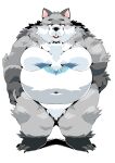  2021 absurd_res anthro belly black_nose canid canine canis fur grey_body grey_fur hi_res humanoid_hands kemono male mammal moobs navel overweight overweight_male sigenoya simple_background solo takotyutyu white_background white_body white_fur wolf 
