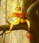  2019 ambiguous_gender anthro bottomless canid cira_nova clothed clothing forest hi_res hybrid in_tree looking_at_viewer mammal plant shirt sitting solo tank_top topwear tree wings 